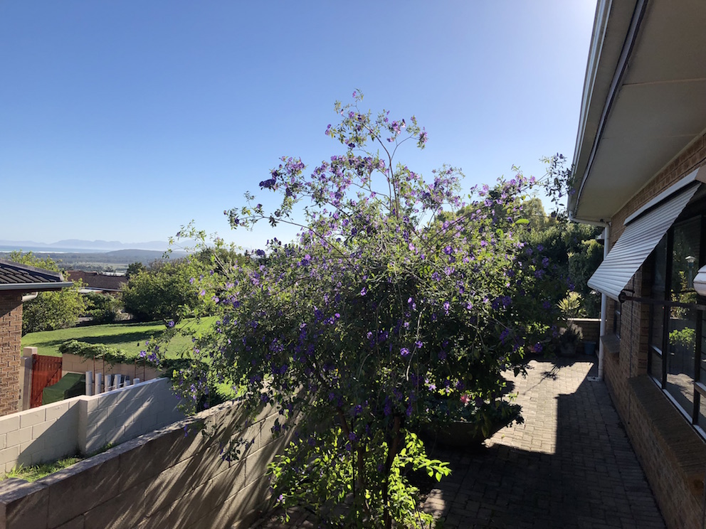Front Patio with view to Communal Garden